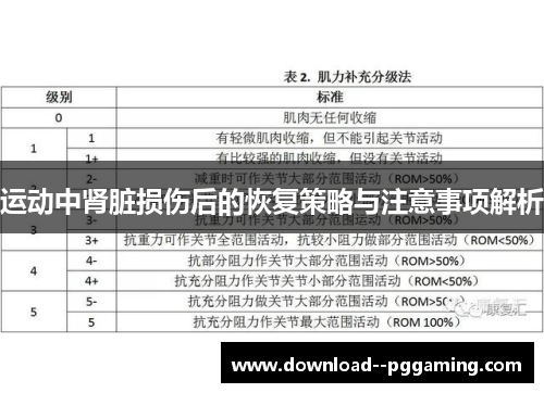 运动中肾脏损伤后的恢复策略与注意事项解析 运动中肾脏损伤后的恢复策略与注意事项解析