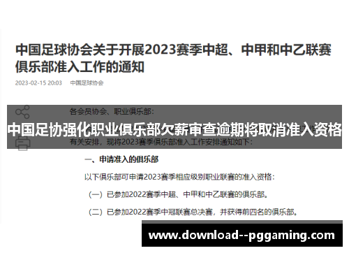 中国足协强化职业俱乐部欠薪审查逾期将取消准入资格