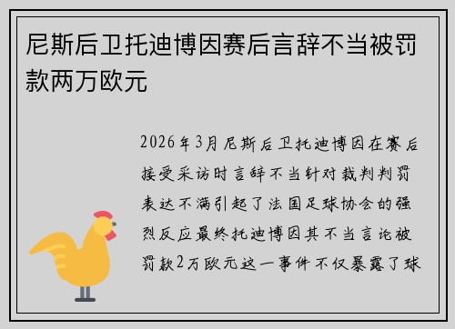 尼斯后卫托迪博因赛后言辞不当被罚款两万欧元
